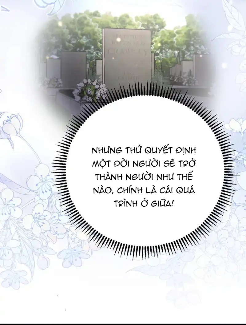 Chapter 234