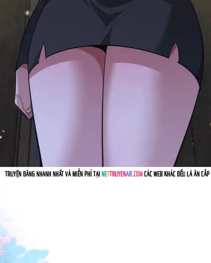 Chapter 241