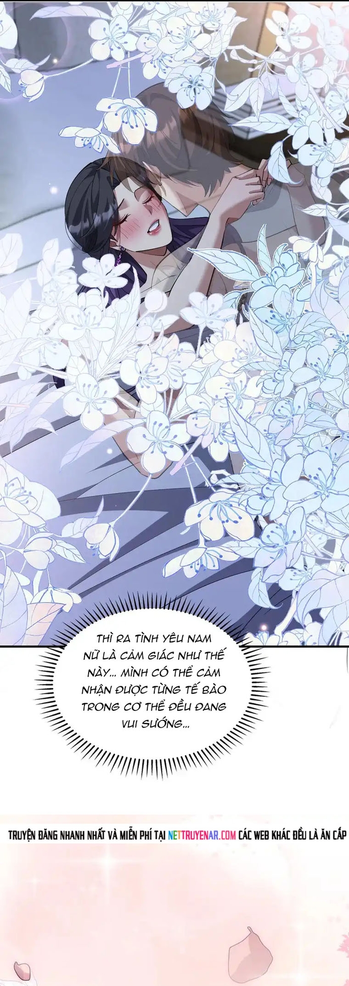 Chapter 241
