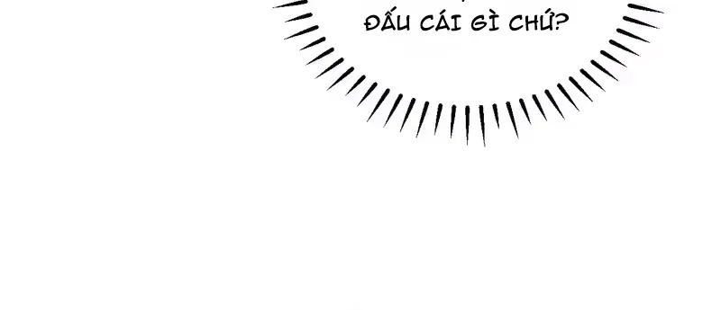 Chapter 255