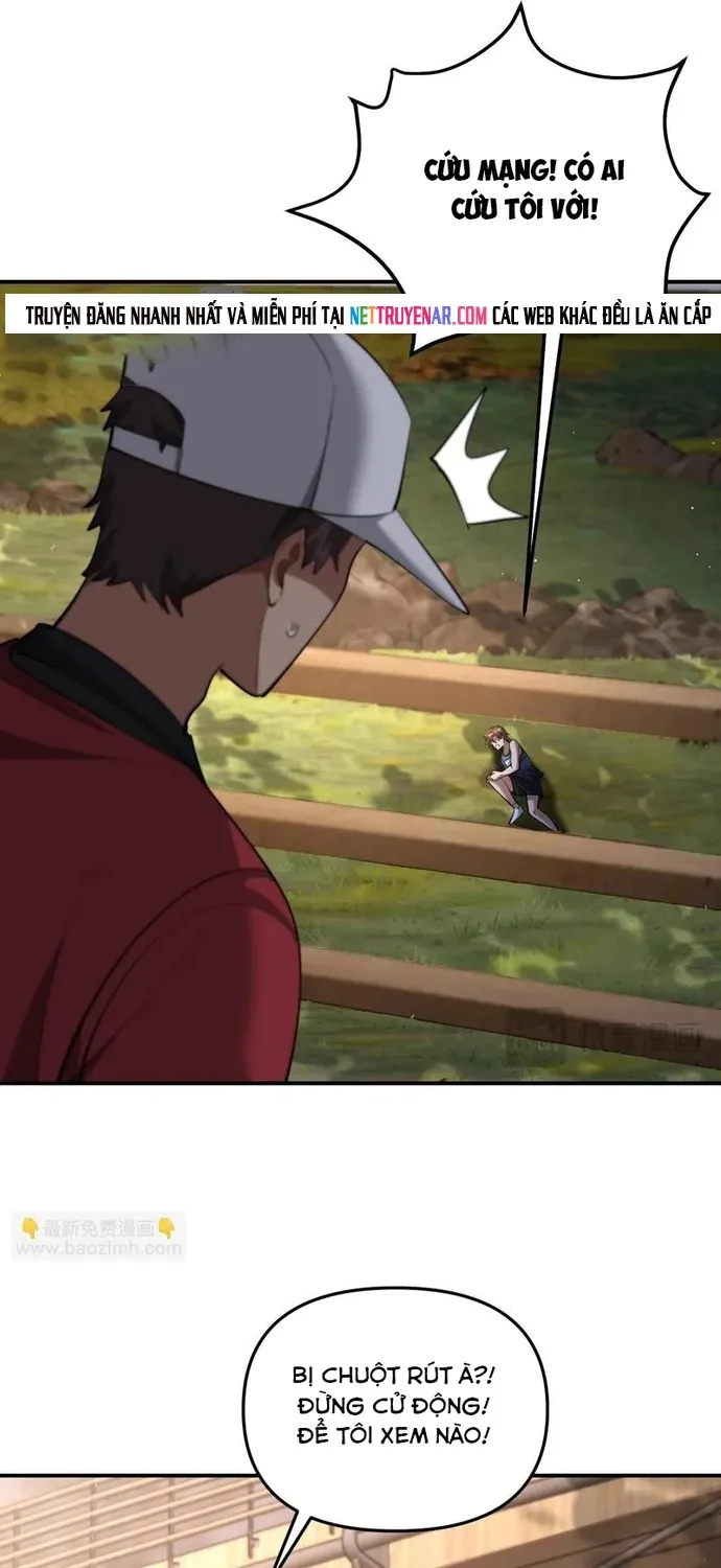 Chapter 262