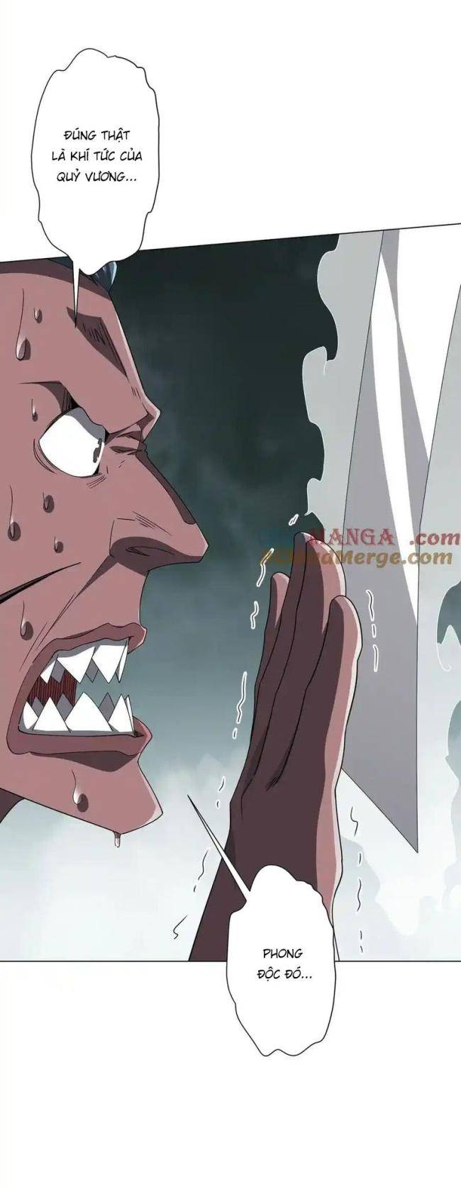 Chapter 117