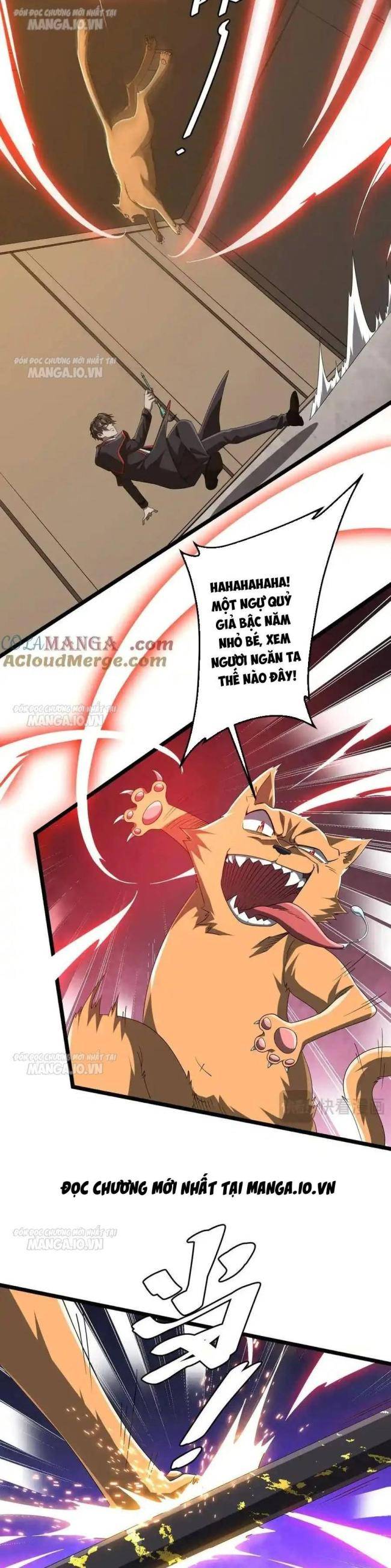 Chapter 149