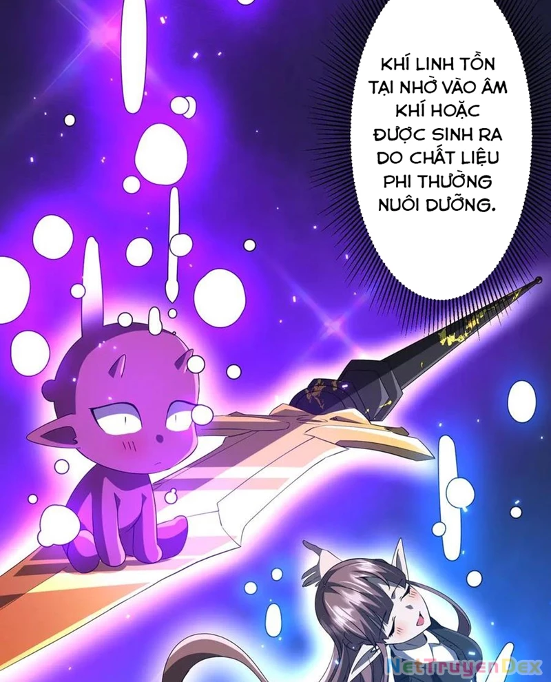Chapter 203