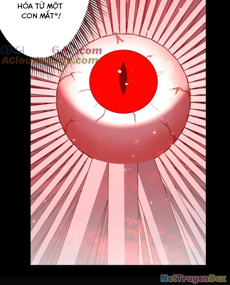 Chapter 203