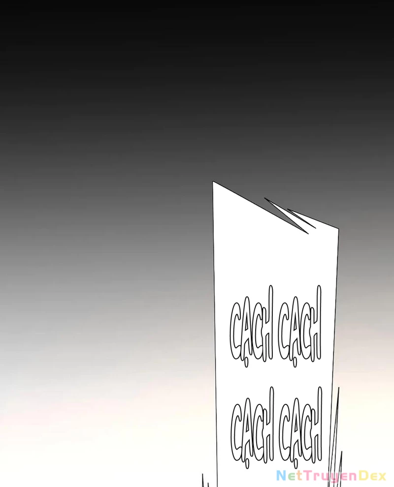 Chapter 203