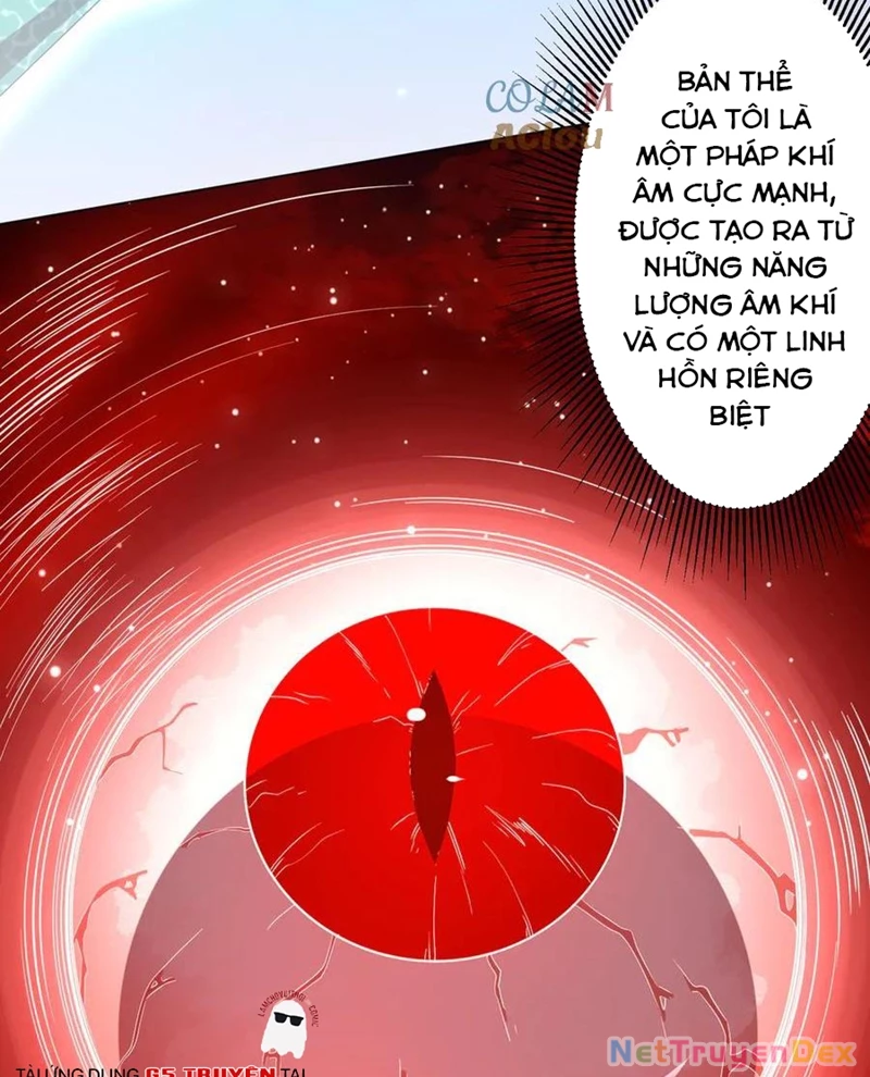 Chapter 203