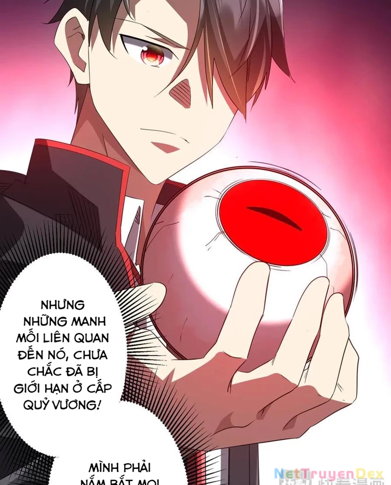 Chapter 203