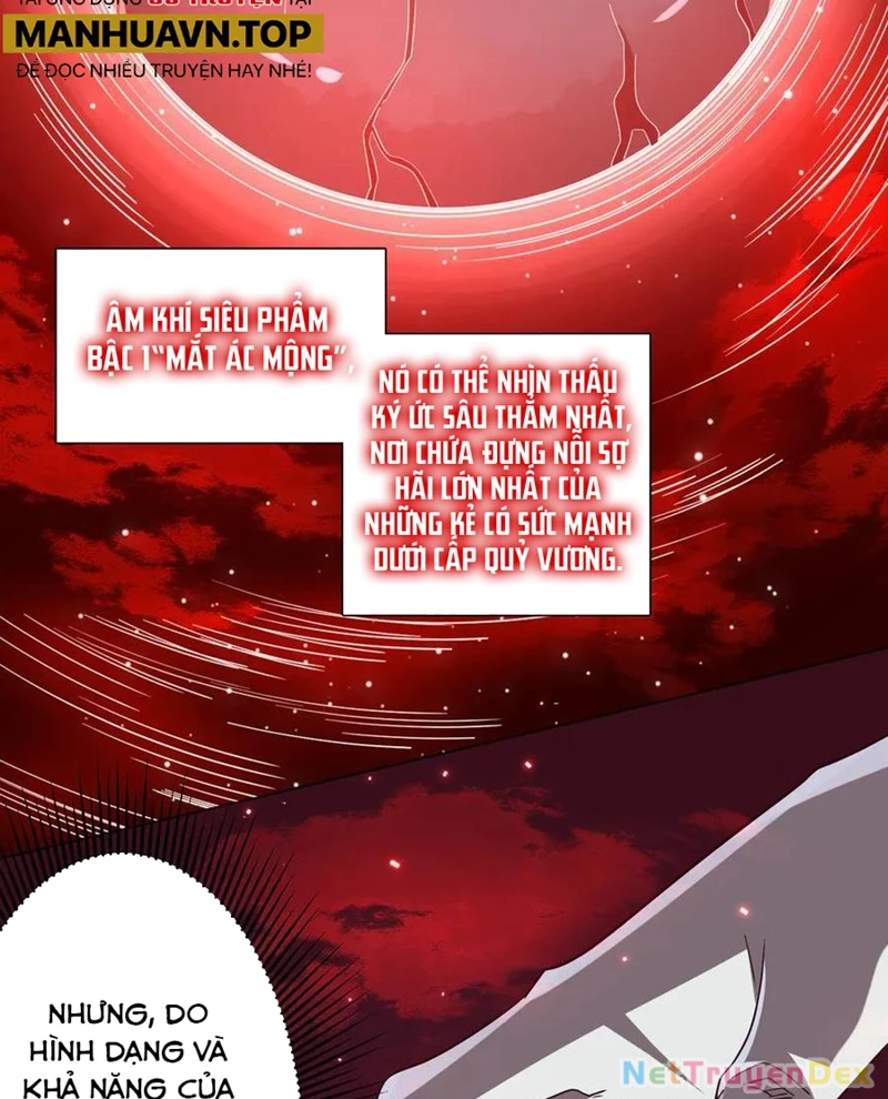 Chapter 203