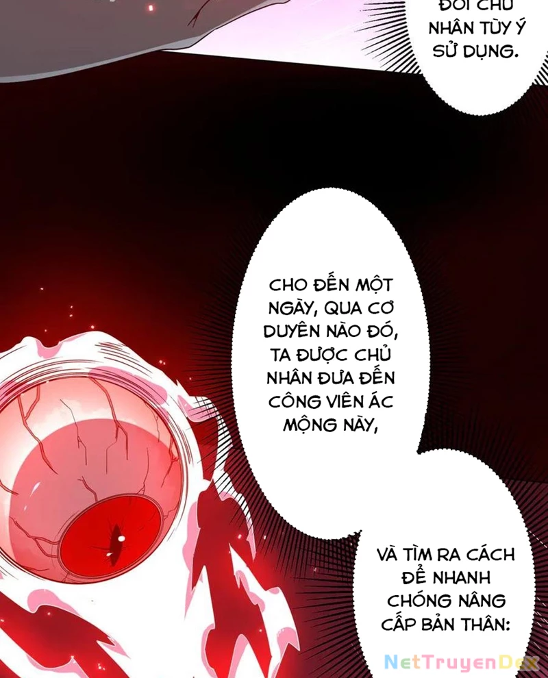 Chapter 203