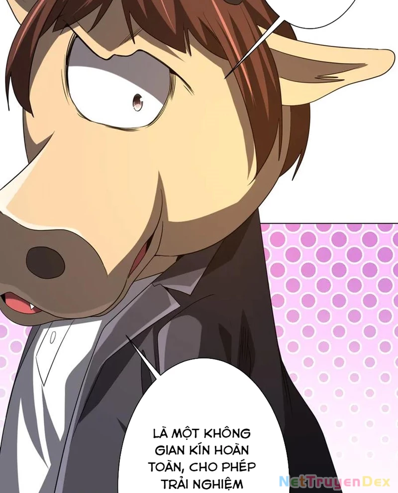 Chapter 203