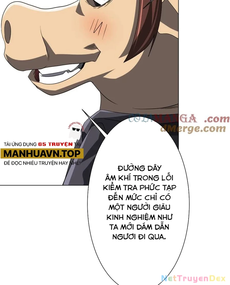 Chapter 203