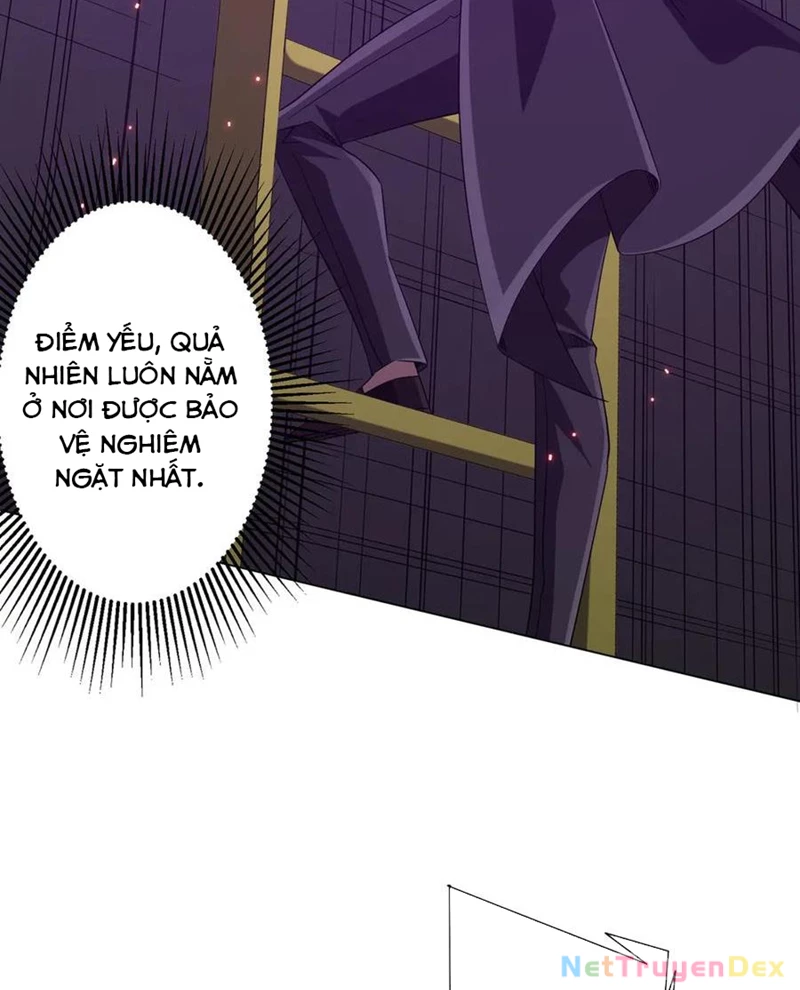 Chapter 203