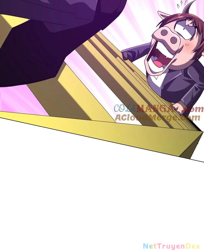 Chapter 203