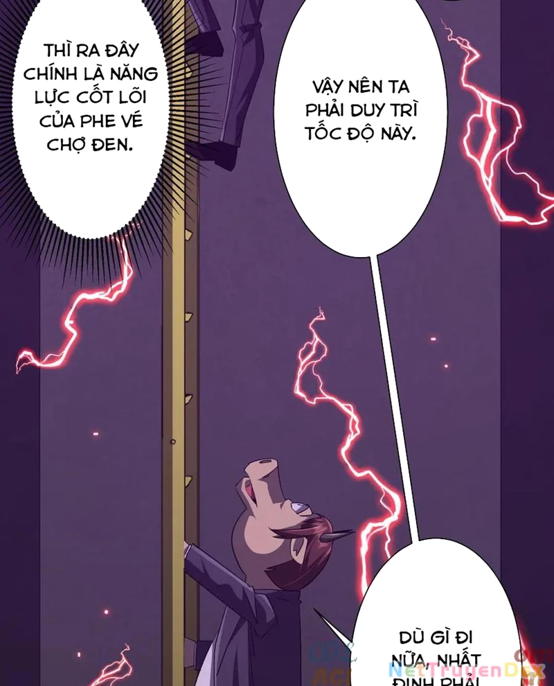 Chapter 203