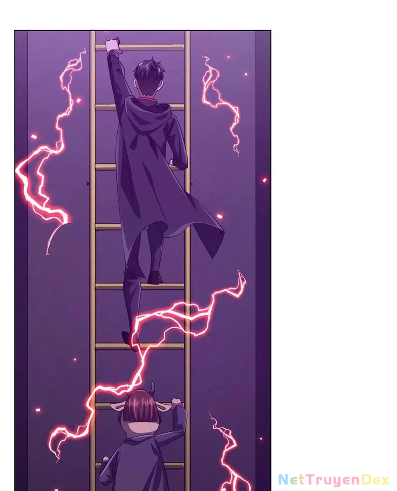 Chapter 203