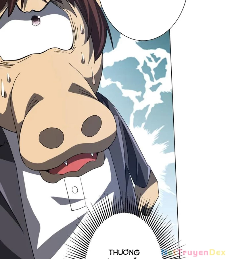 Chapter 204