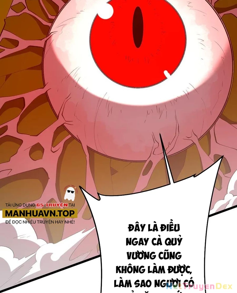 Chapter 205