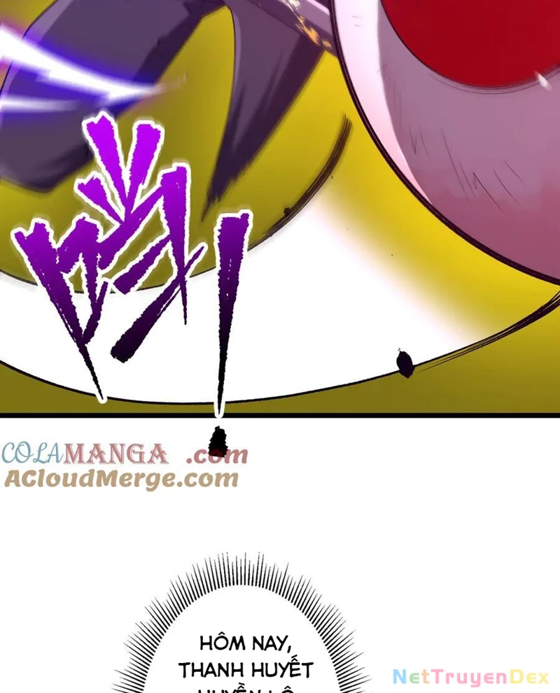 Chapter 205