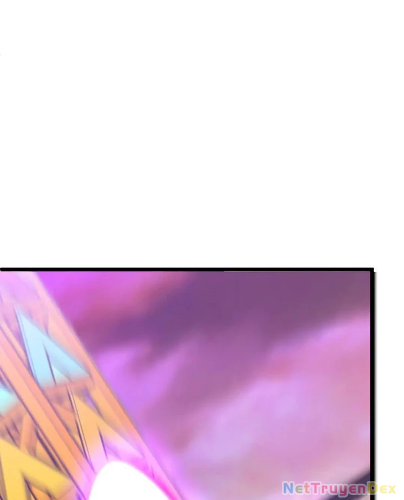 Chapter 205