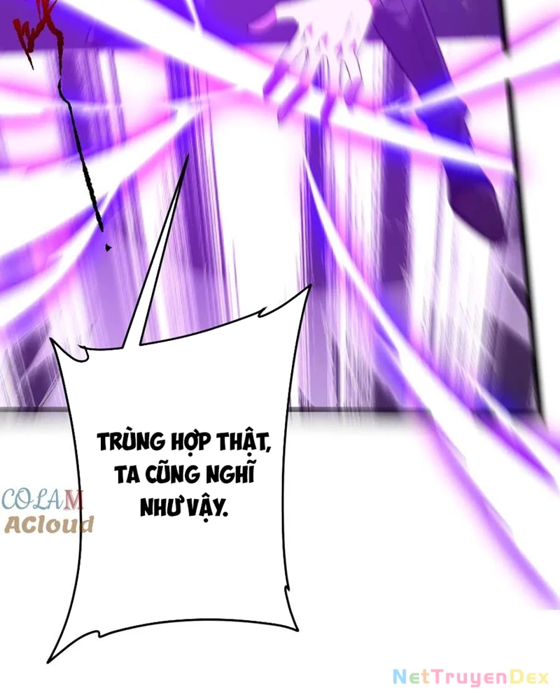 Chapter 205