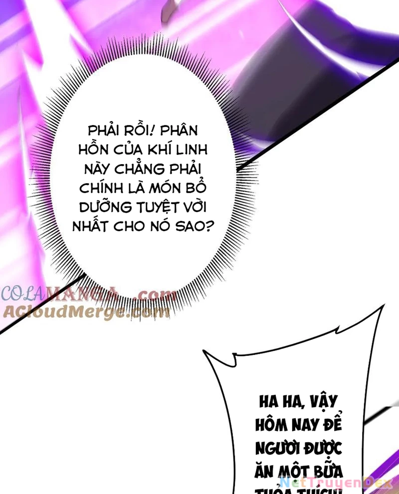 Chapter 205