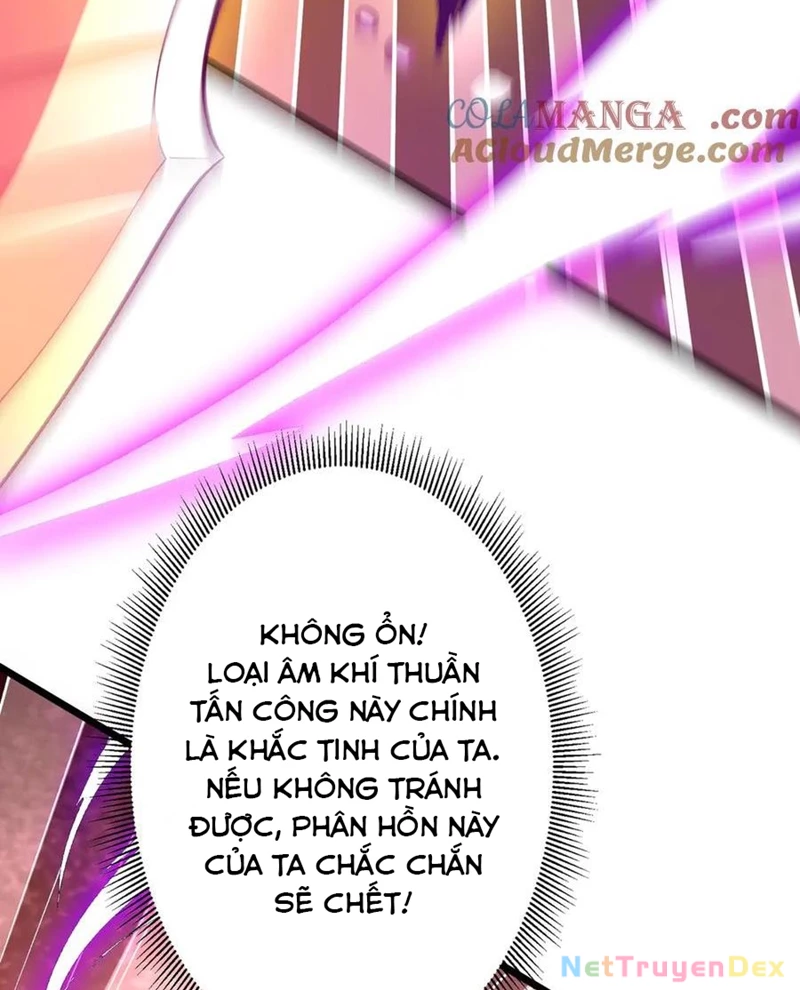 Chapter 205