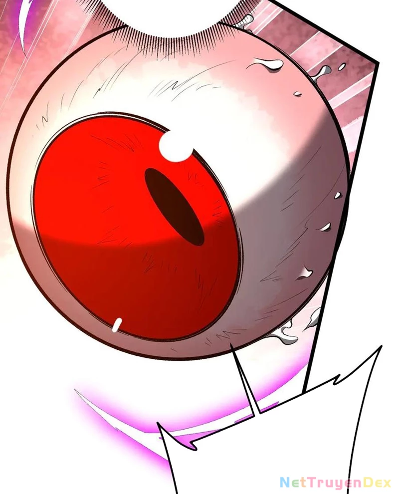 Chapter 205