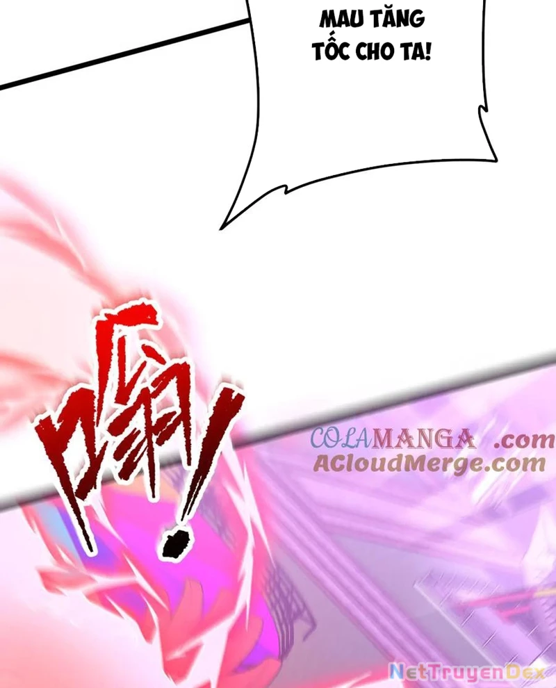 Chapter 205