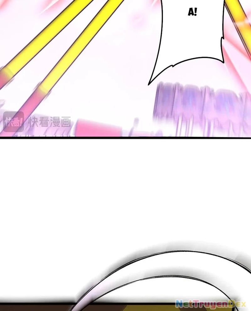 Chapter 205