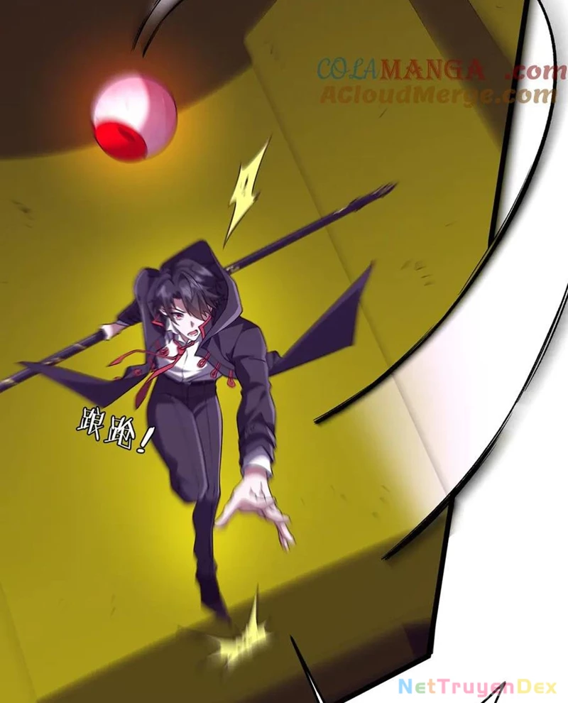 Chapter 205