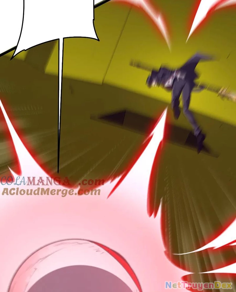 Chapter 205