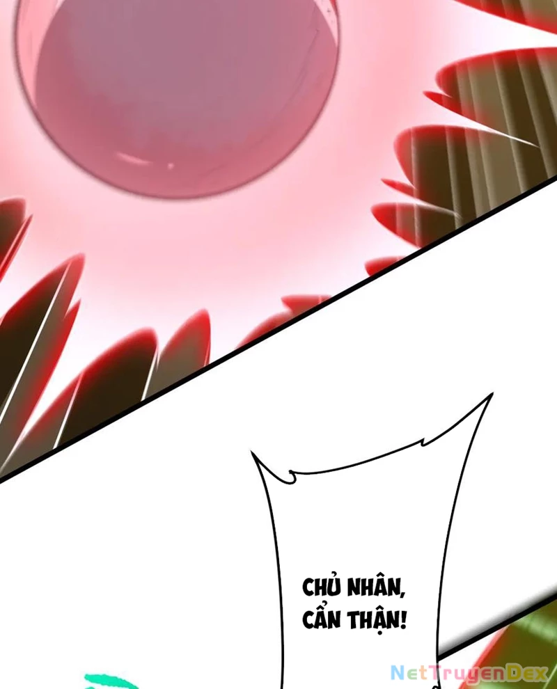 Chapter 205