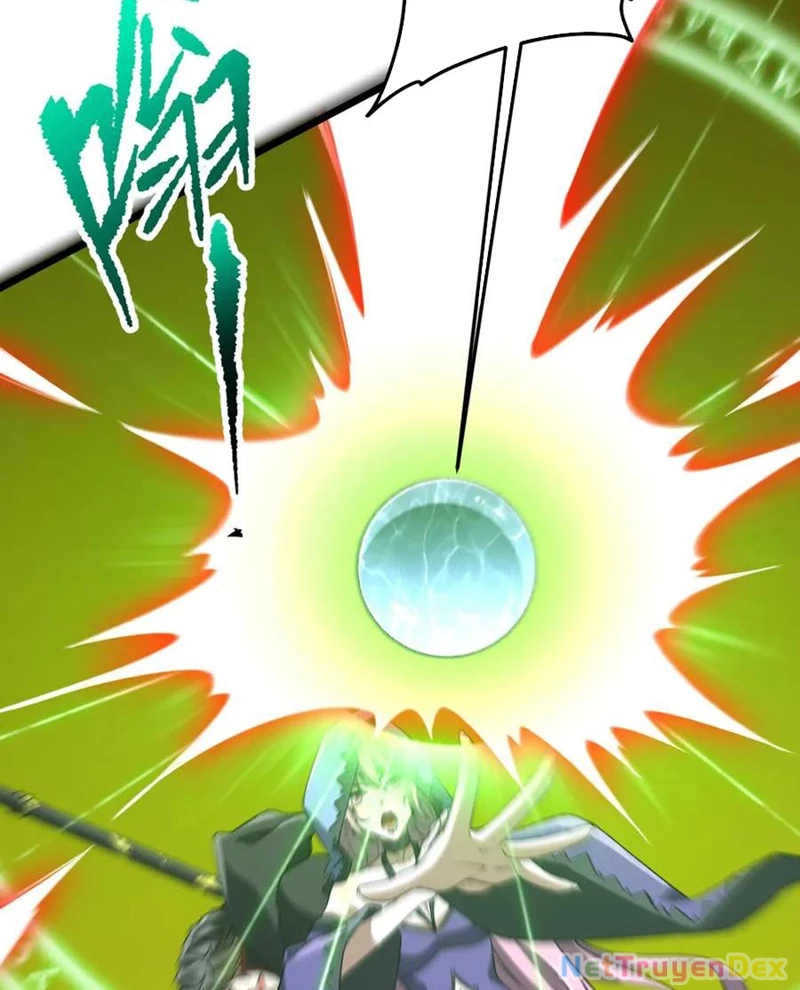 Chapter 205