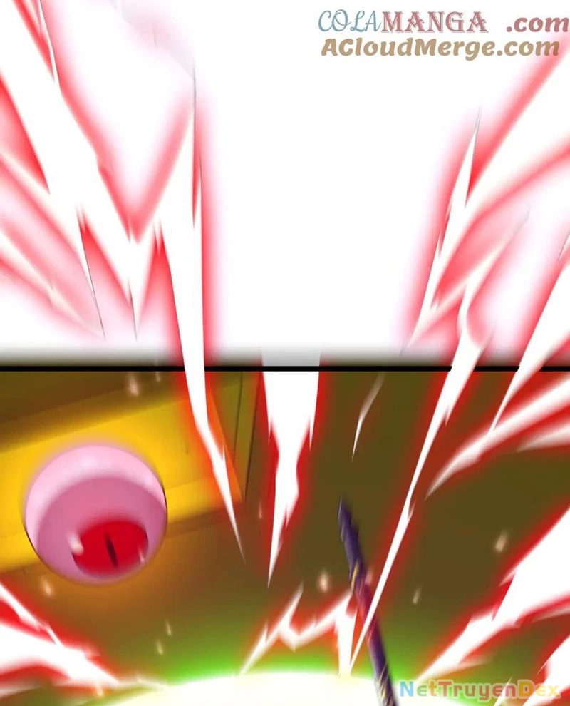 Chapter 205