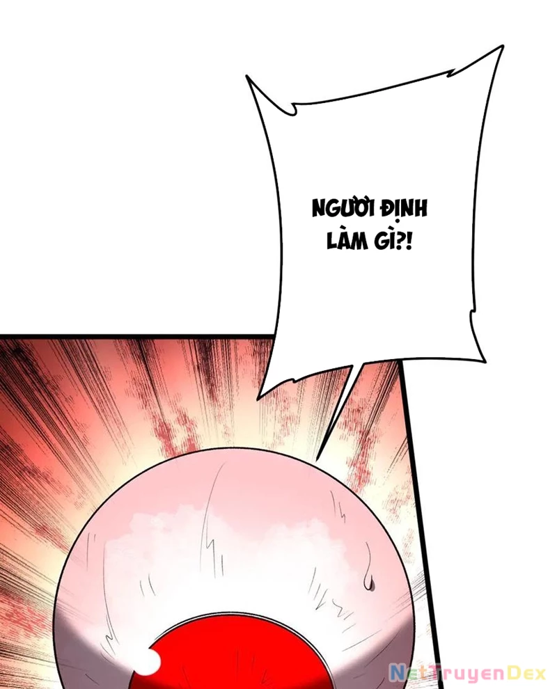 Chapter 205