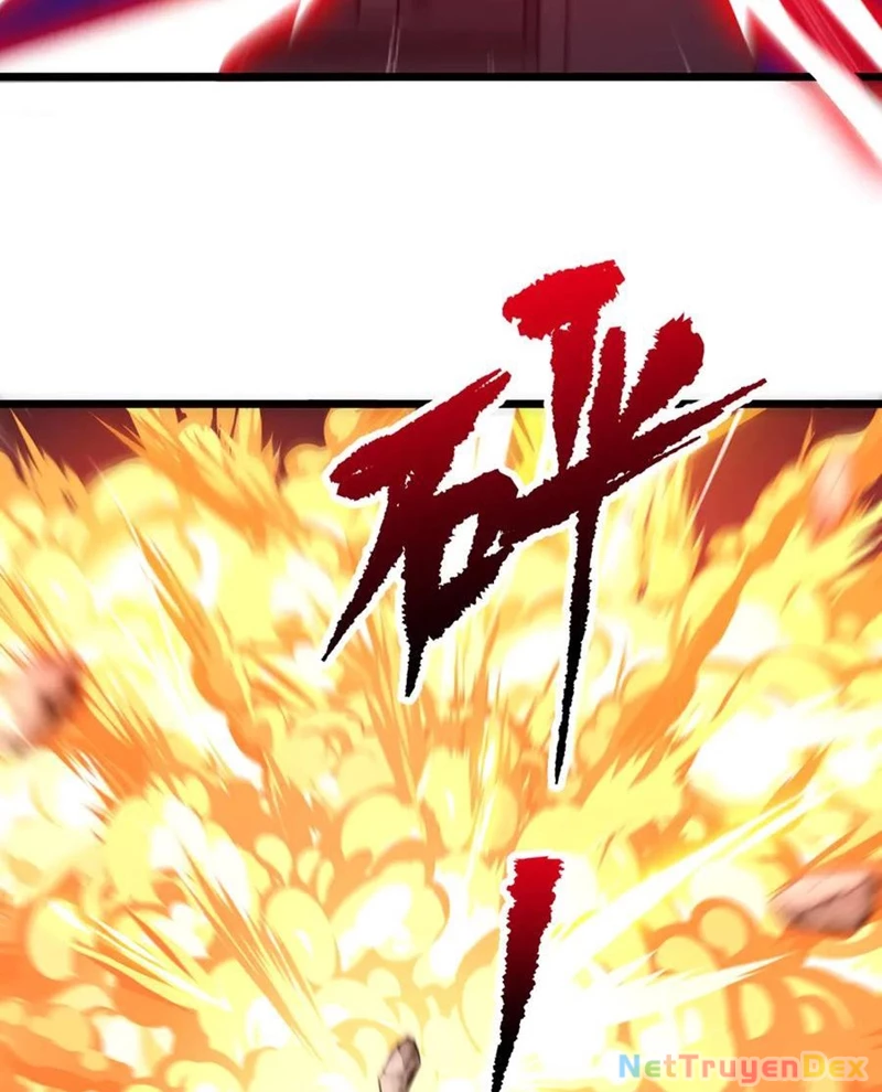 Chapter 205