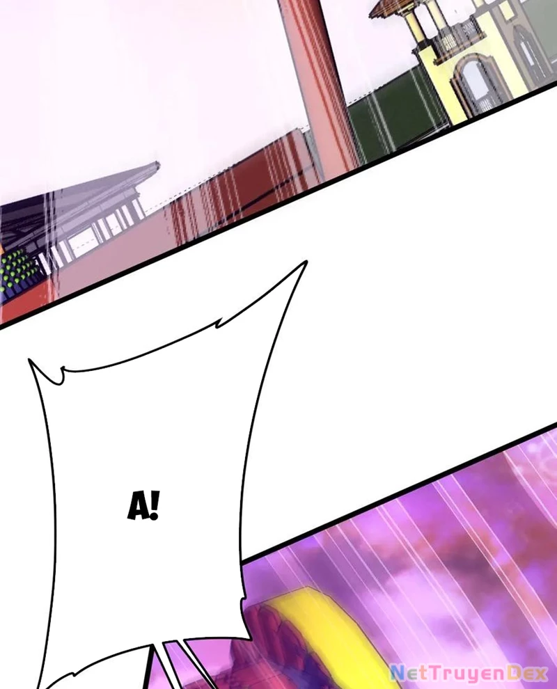 Chapter 205