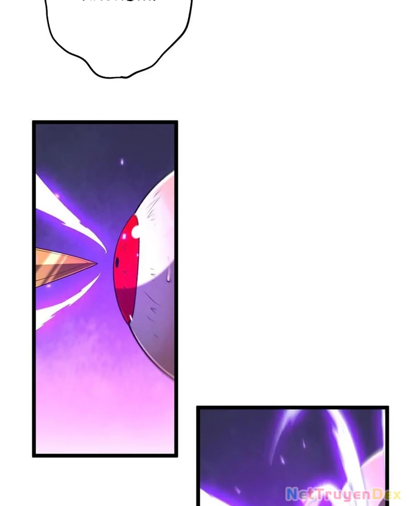 Chapter 205