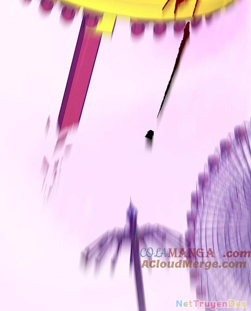 Chapter 205