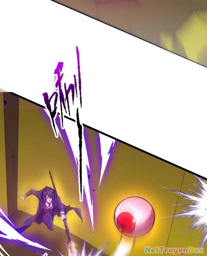 Chapter 205