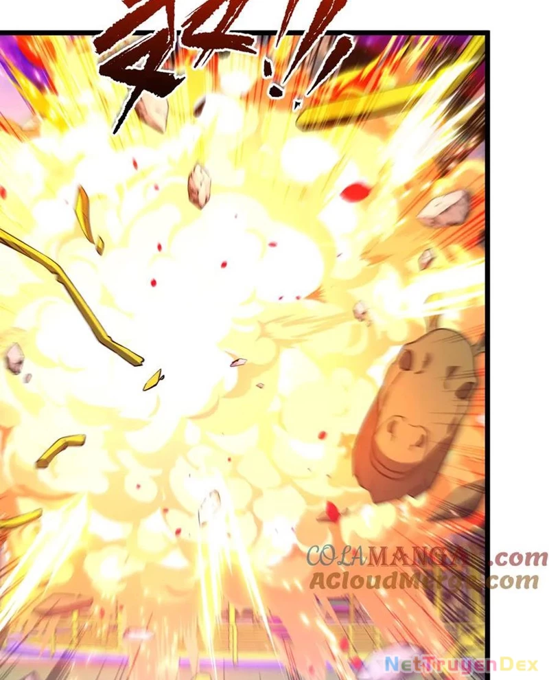 Chapter 205