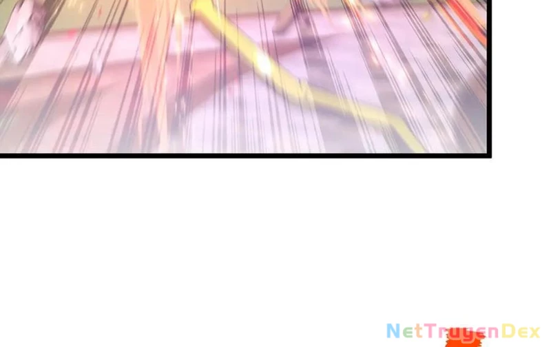 Chapter 205