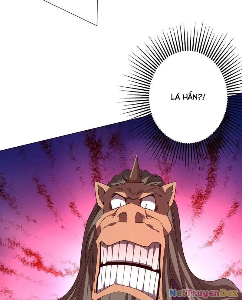 Chapter 206