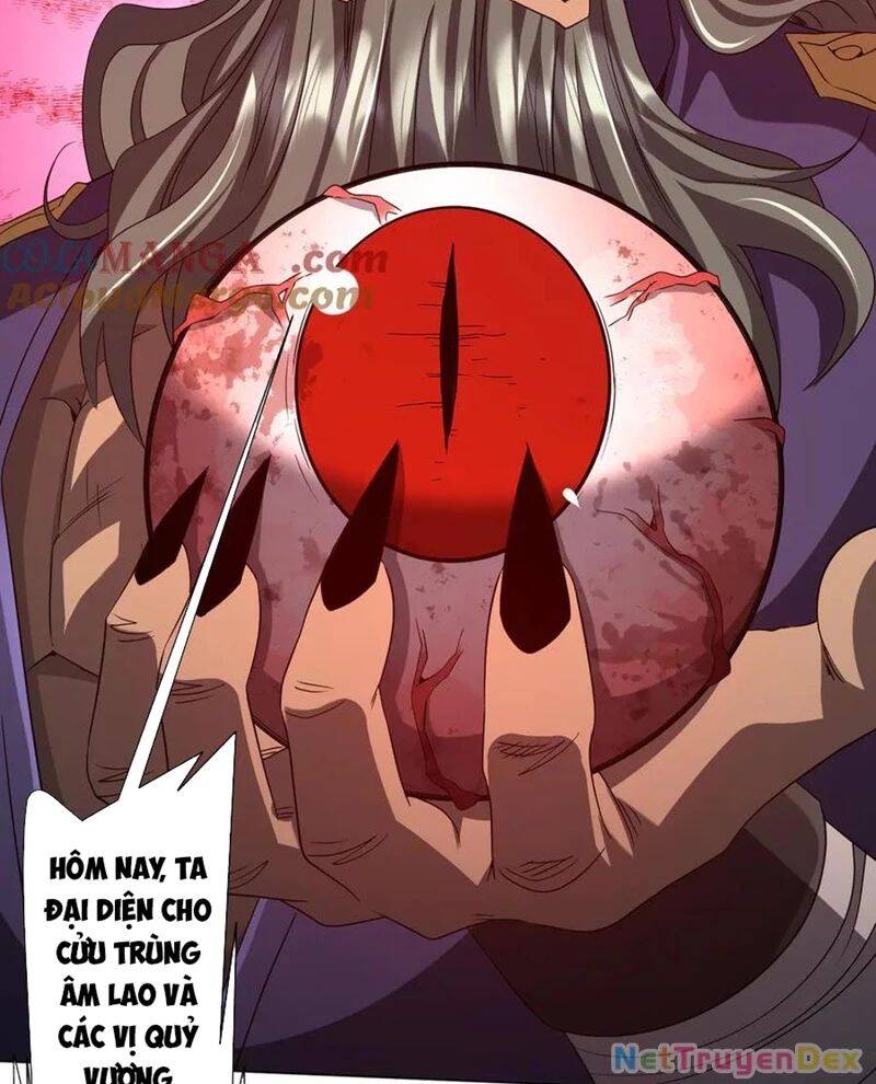 Chapter 206