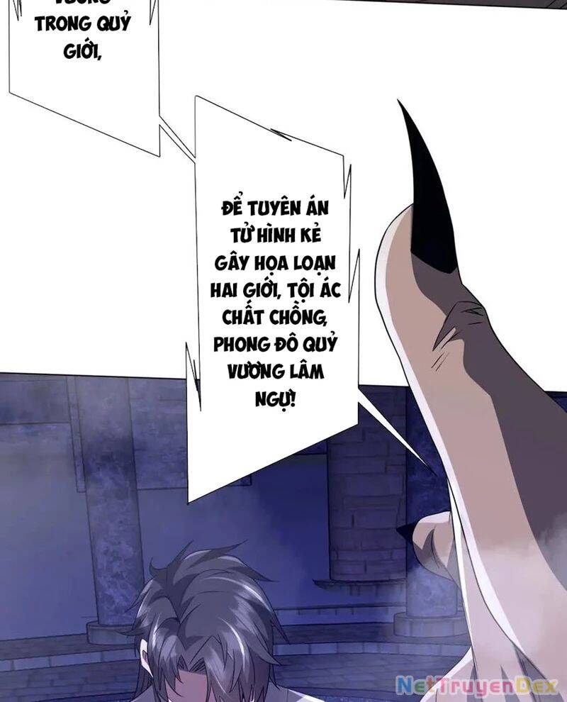 Chapter 206