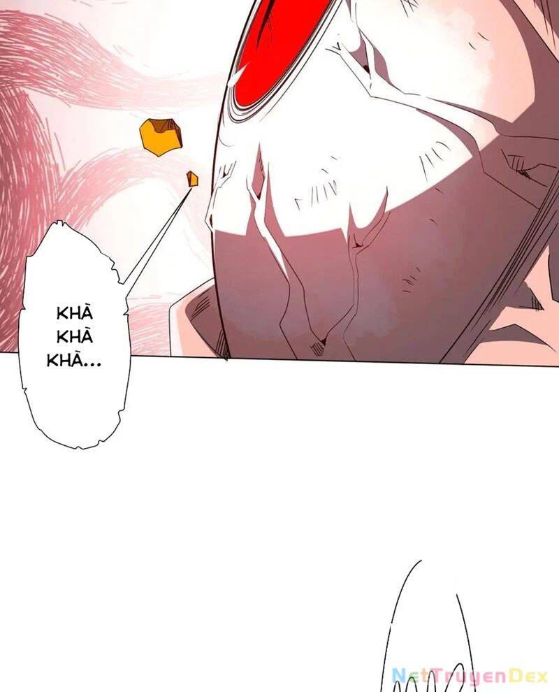 Chapter 206