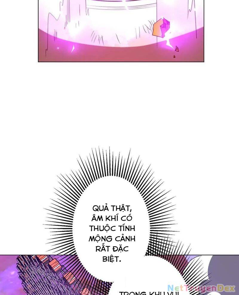 Chapter 206