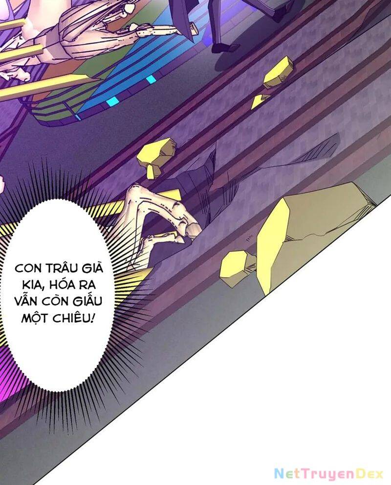 Chapter 206