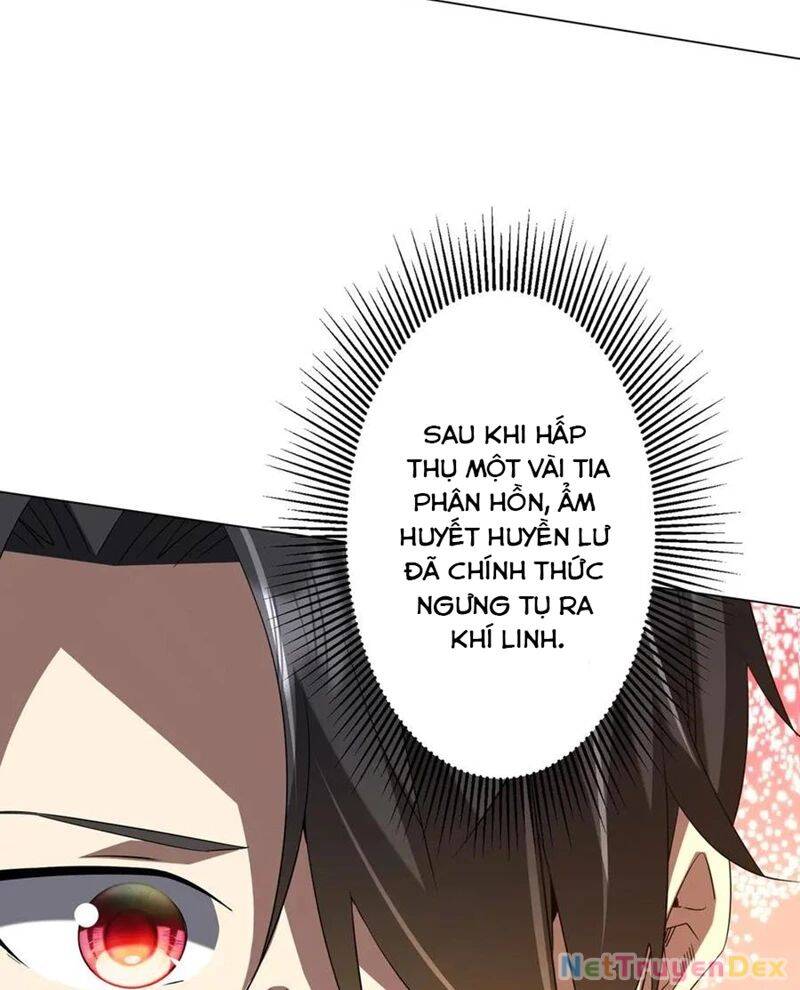 Chapter 206